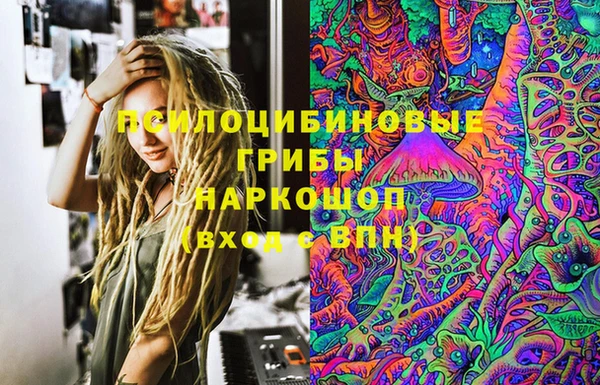 PSILOCYBIN Арсеньев