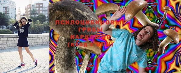 твердый Аркадак