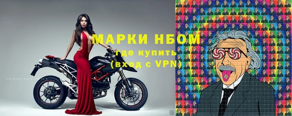 твердый Аркадак