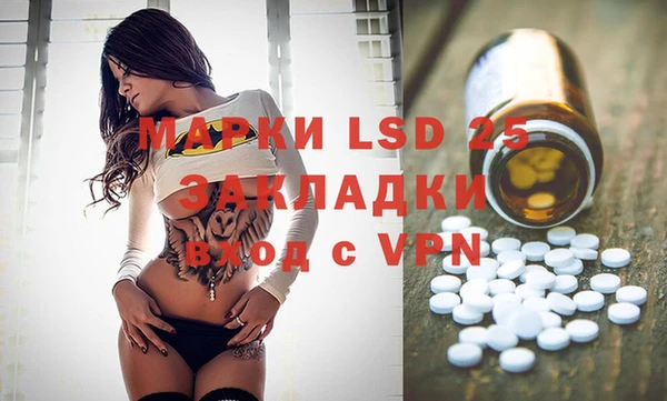 твердый Аркадак