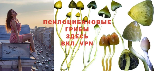 PSILOCYBIN Арсеньев