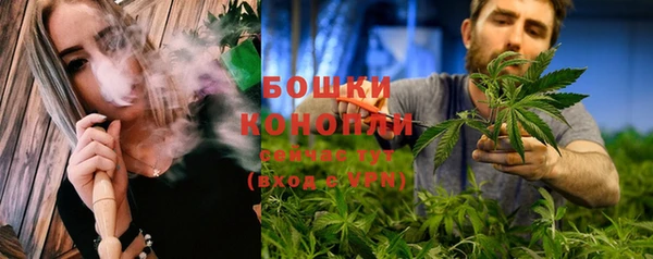 твердый Аркадак