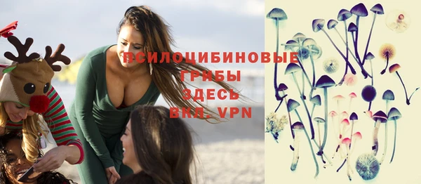 PSILOCYBIN Арсеньев