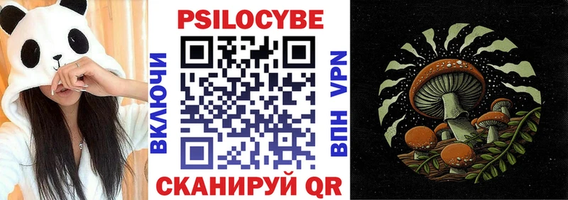 Псилоцибиновые грибы мицелий  как найти закладки  Новомичуринск 